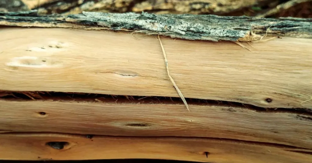 How to dry wood fast for woodworking