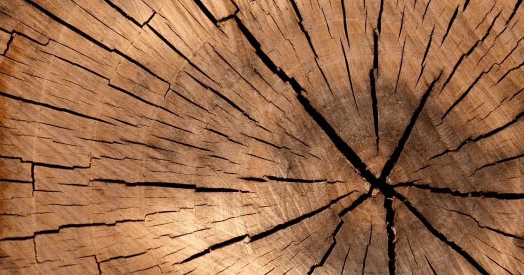 How to stop a crack in wood from spreading